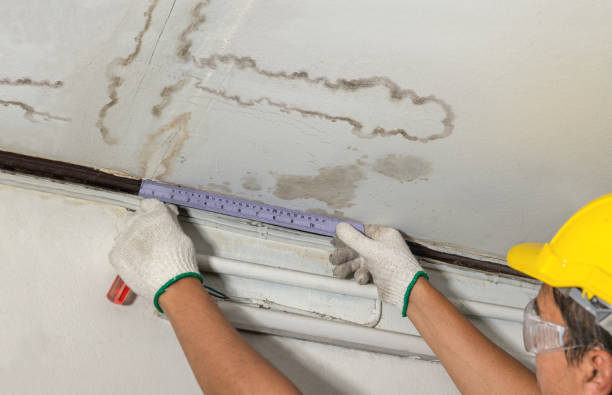 Reliable Burst Pipe Cleanup contractor in Snohomish, WA by Water Damage Irwin